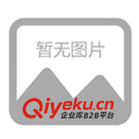 T恤衫、gd商務(wù)T恤、T恤貼牌加工、廣告衫、外貿(mào)衫